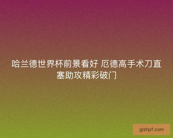 哈兰德世界杯前景看好 厄德高手术刀直塞助攻精彩破门